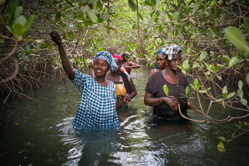 Women and shellfish: the GoodPlanet Foundation alongside the women of the Saloum Delta and Casamance