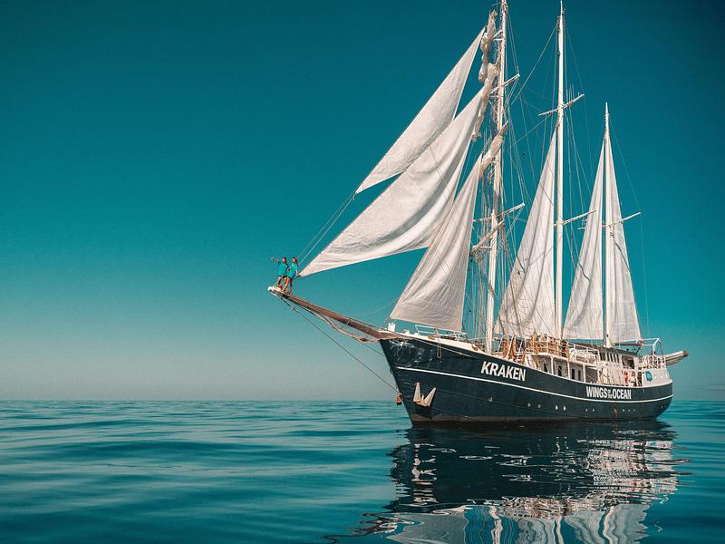 Protéger les océans de la pollution grâce à nos bénévoles !