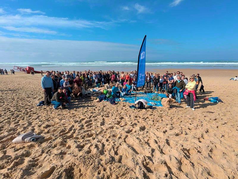 Nouvelles de Wings en 2026 et ramassages post-tempêtes