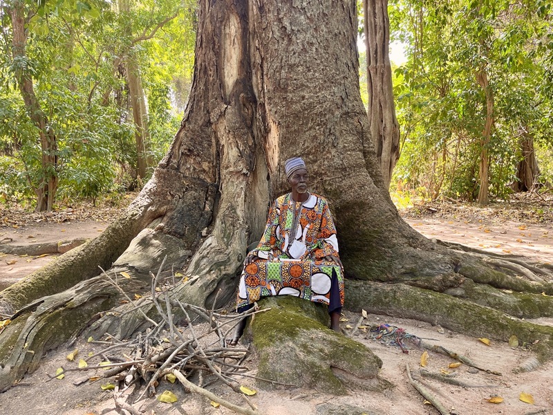 Préserver les forêts sacrées du Bénin