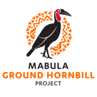 Mabula Ground Hornbill Project logo