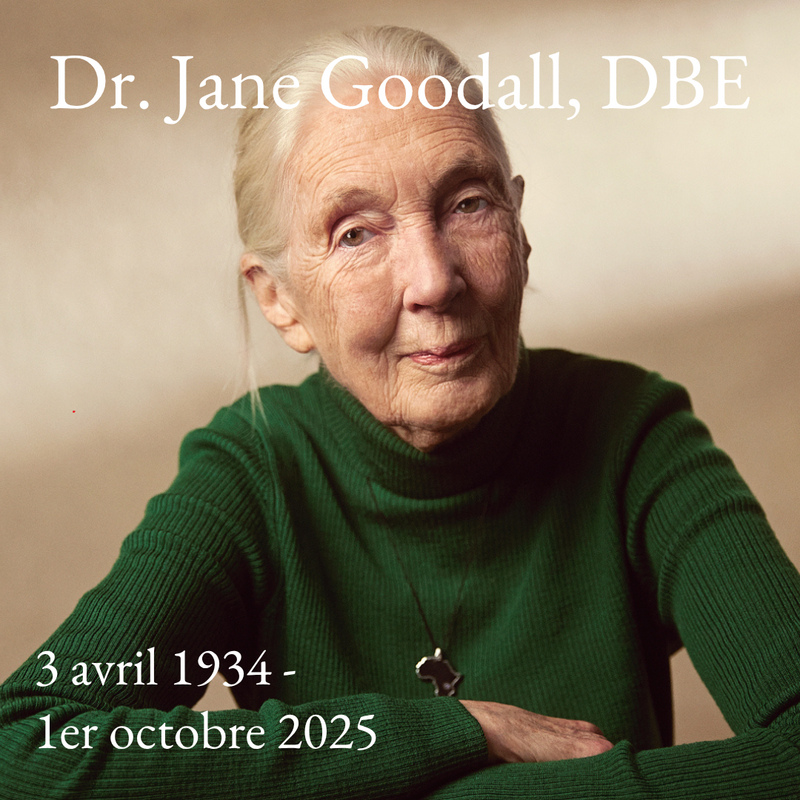 Jane Goodall has passed away