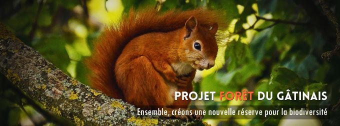 FORÊT DU GÂTINAIS PROJECT: GOOD NEWS!