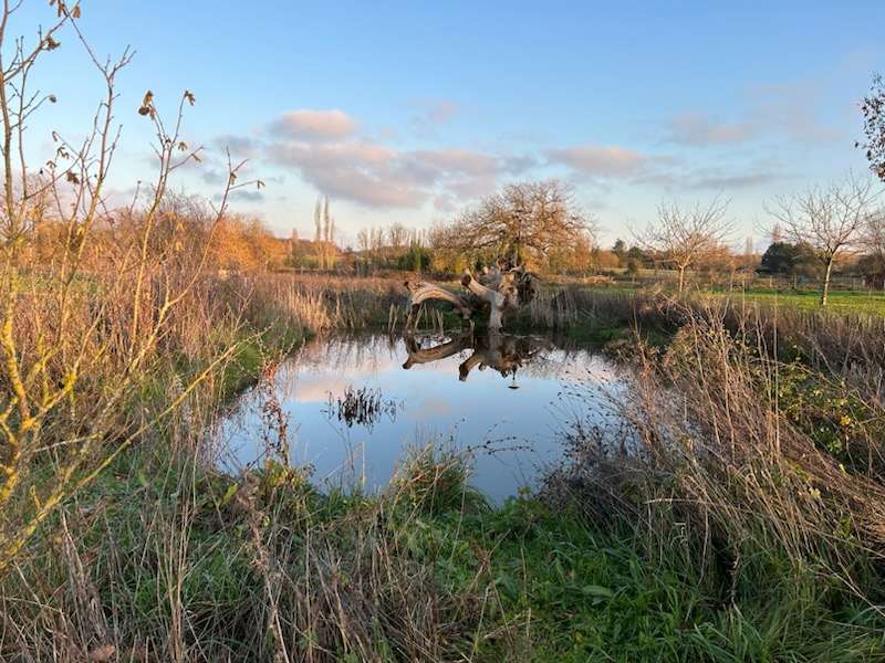 Espaces Pédagogiques pour la Biodiversité