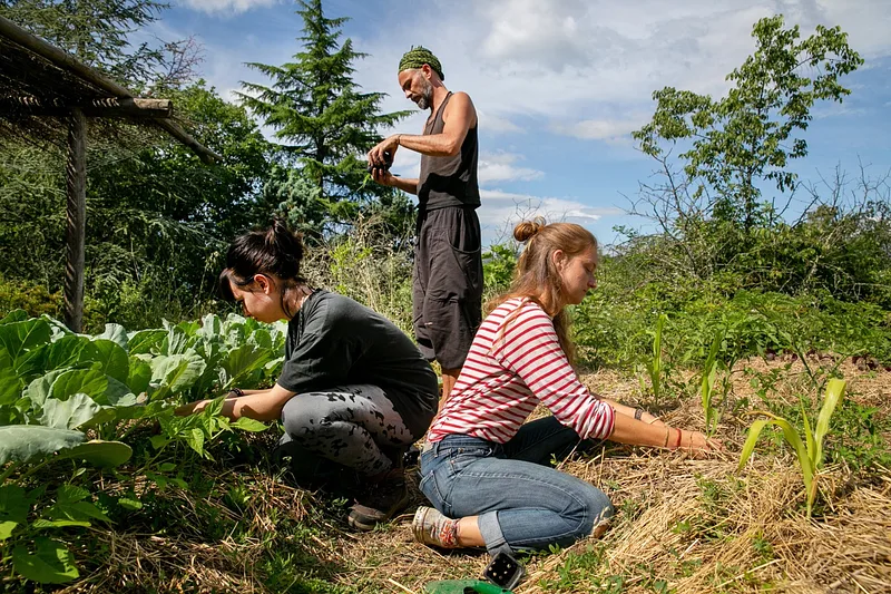 Training farmers in agro-ecological practices