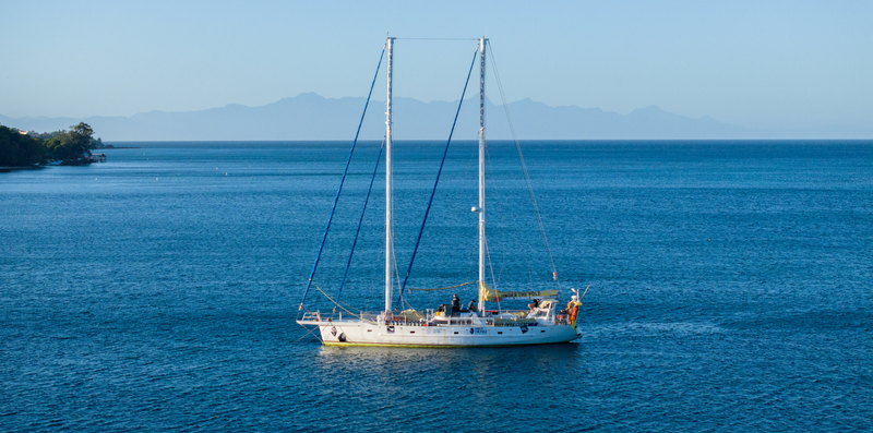 Quelques nouvelles du Why ⛵️