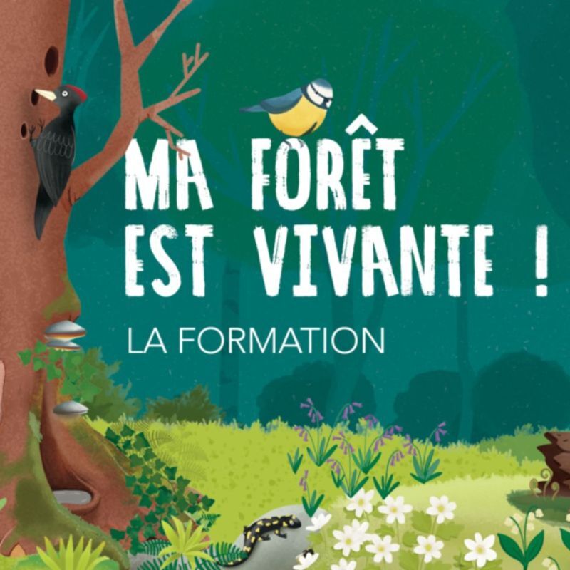 🌳 Ma Forêt est Vivante ! 👉 Une nouvelle étape dans notre projet ! 