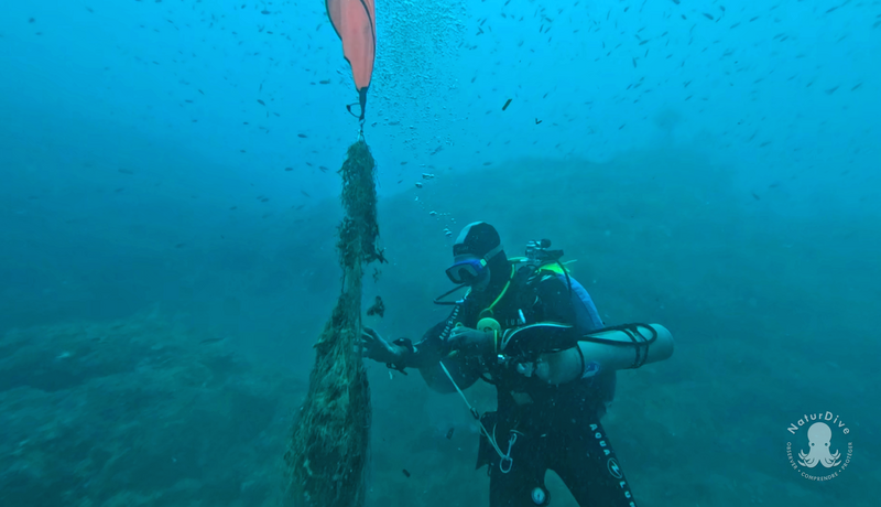 We're underwater, and the DéFi-Méd project is moving forward!
