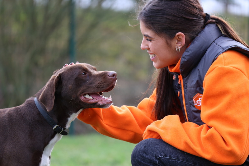 Nourrir les animaux recueillis dans les refuges