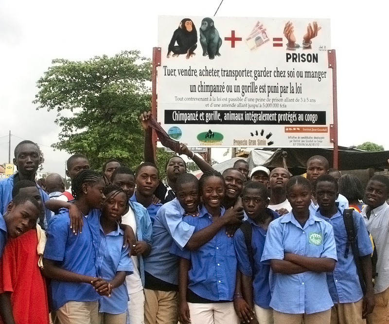 Quand l’éducation rencontre la protection de la nature 🌍🐵  