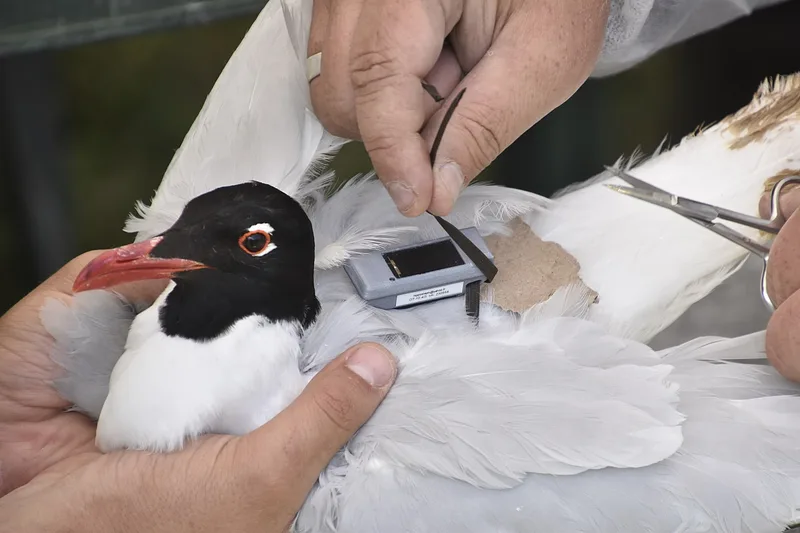 Quelques difficultés en 2024…