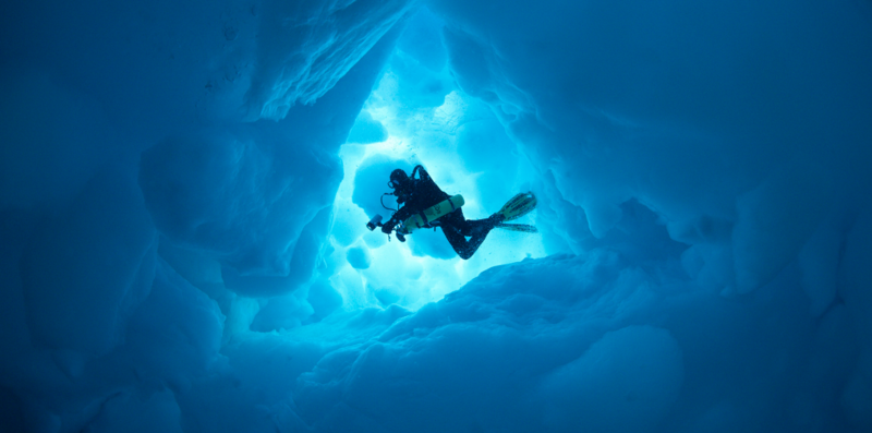 Organizing innovative expeditions to support scientific research