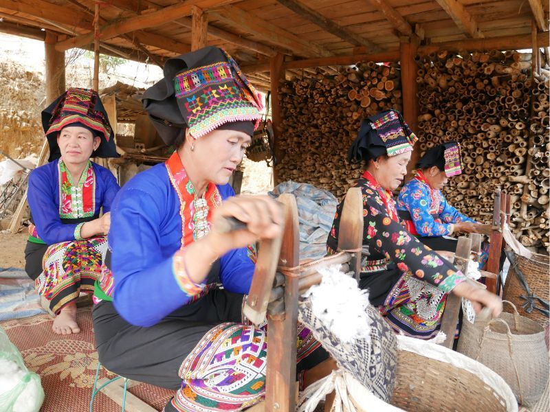 Account of an immersion in Vietnam with the Anh Chi Em program