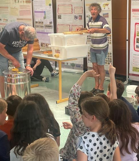 Dégustation de miel d'abeilles domestiques... pour découvrir les abeilles sauvages !