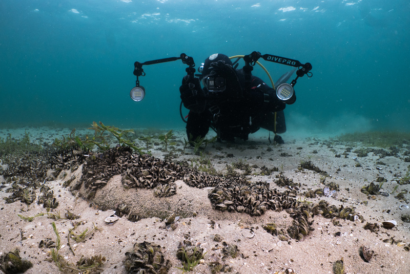 Protecting aquatic environments: from the poles to the Rhône