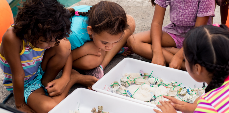 Raising young people's awareness of the oceans with the Under The Pole caravan
