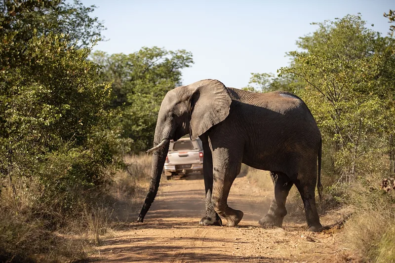 Preserving threatened species and habitats