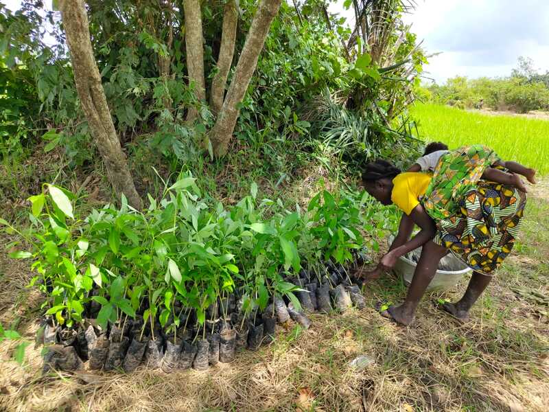 Working together to protect key forests