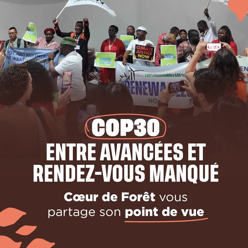COP30: between progress and missed opportunities, the view from Cœur de Forêt
