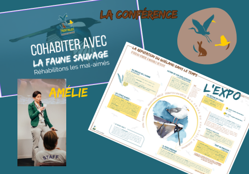 A team committed to changing attitudes