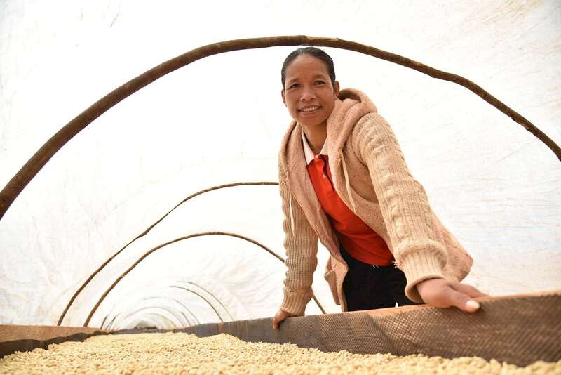 Portrait of Chandy, coffee grower in Laos