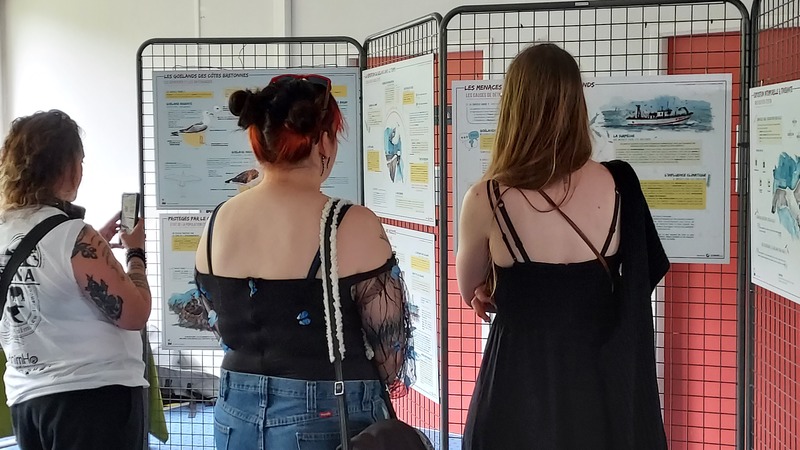 Les bons gestes dans un grand salon dédié aux animaux à Meaux (77)
