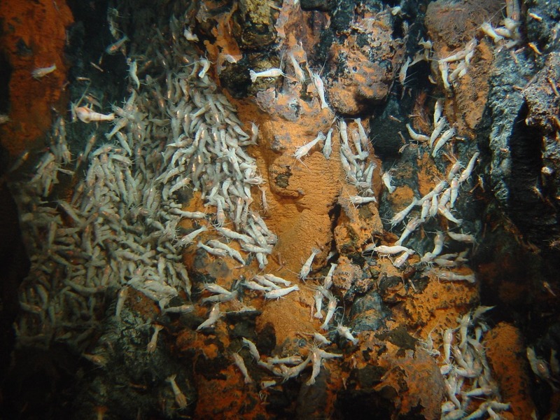 Découvrez les esprits brillants derrière nos lauréats 2025 : RimiOmics !