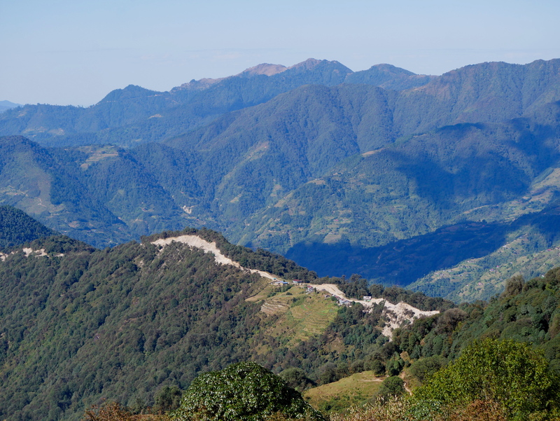 The first forest officially protected by local communities