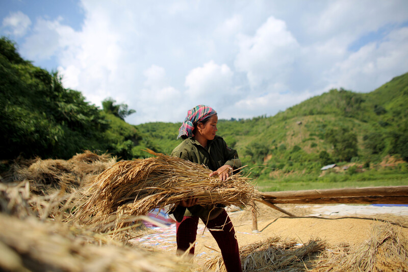 Supporting women farmers in the face of climate change