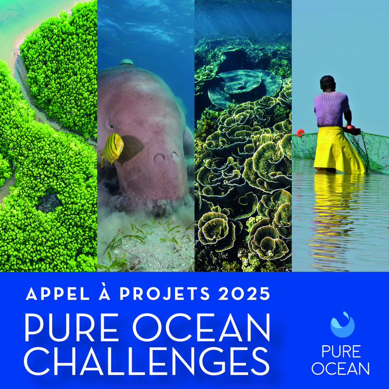 Appel à Projets 2025 : la recherche océanique a besoin de vous !