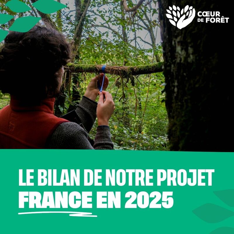 The results of our France in 2025 project