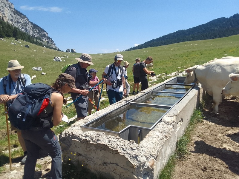 Agir pour le partage de l'eau vitale en Chartreuse
