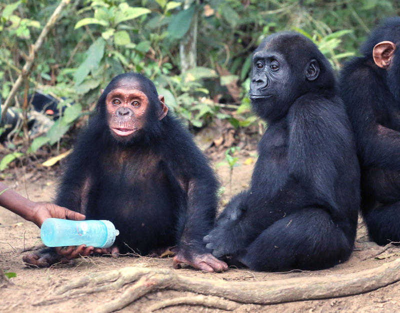 Des nouvelles de Mozambique