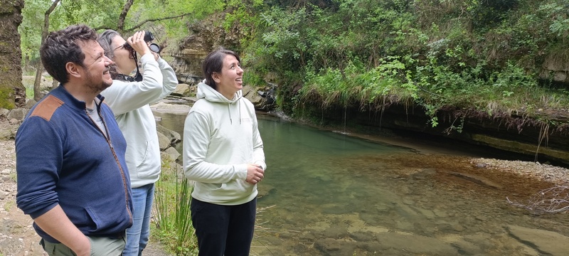Des nouvelles de notre forêt dans l'Hérault