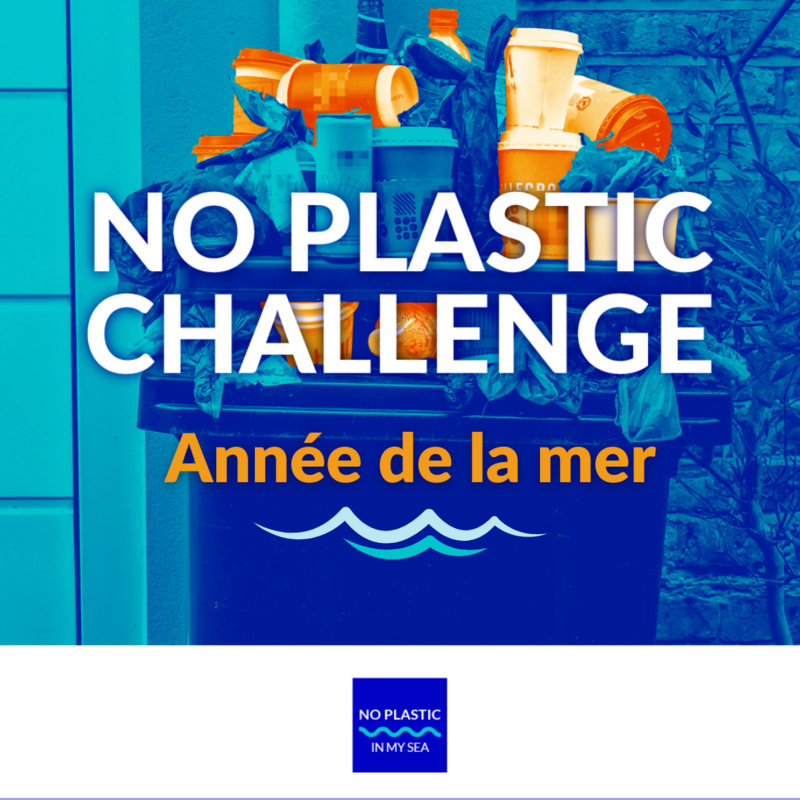 Année de la mer : 100 organisations déjà engagées contre la pollution plastique