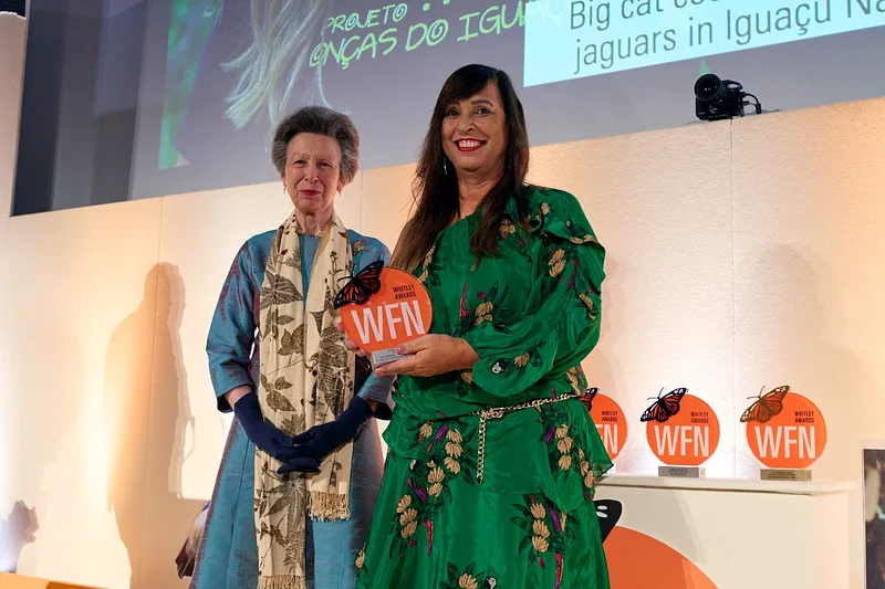 Une grande nouvelle venue du Brésil !