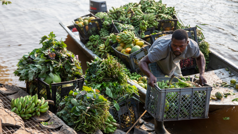 Notre vision : protéger les chimpanzés en aidant les populations locales