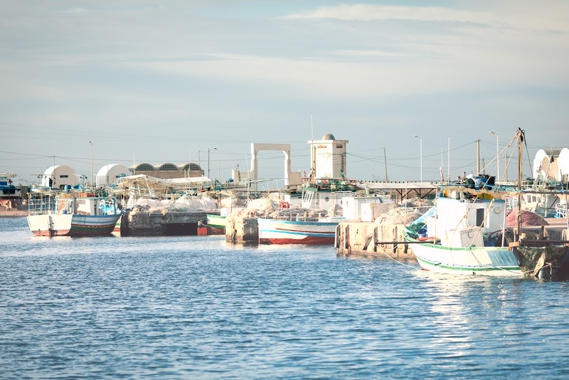 Cap sur 2025 pour Earthwake : De nouveaux horizons pour la lutte contre la pollution plastique
