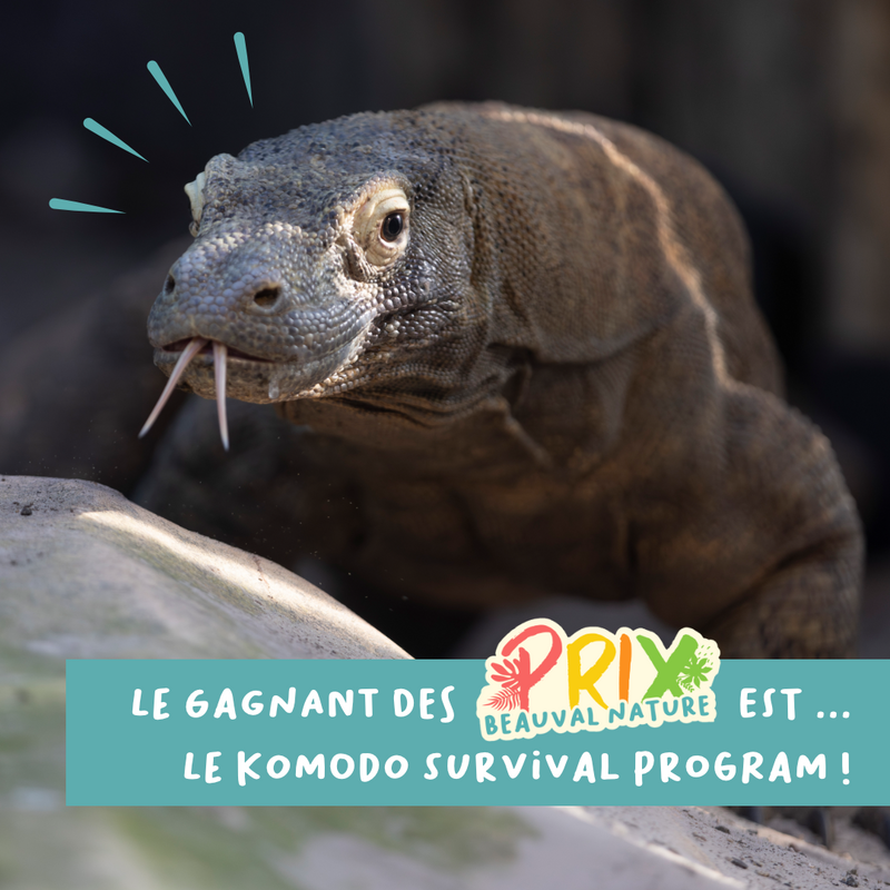 And the big winner is ...