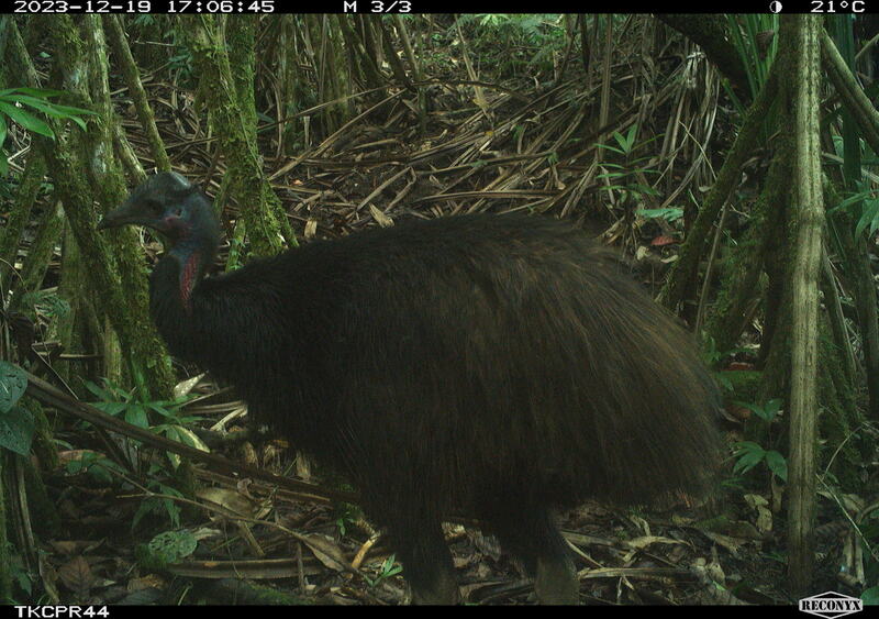 Progress in wildlife protection